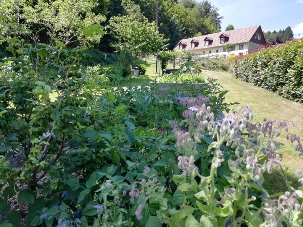 La Climontaine * Urbeis